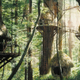 Image for article titled George Lucas Wants To Build Affordable Housing on His Skywalker Ranch